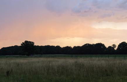 La Hasienda - Foto 26