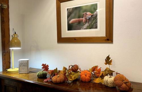 Historical North Cottage in Old Deer - Photo 22