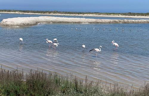 VILLA COCO CALINE - Foto 21
