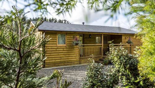Fern Lodge - 2 Bedroom Log Cabin - Saint Florence - Tenby - Foto 2, Other