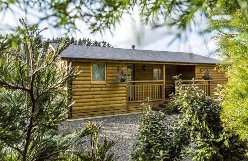 Fern Lodge - 2 Bedroom Log Cabin - Saint Florence - Tenby - Photo 2