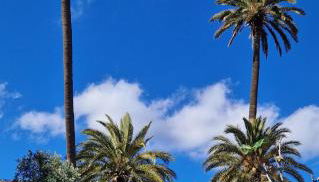 Ferienwohnung mit Panoramablick in der Finca Gran Calma - ideal für Wanderer - Foto 5