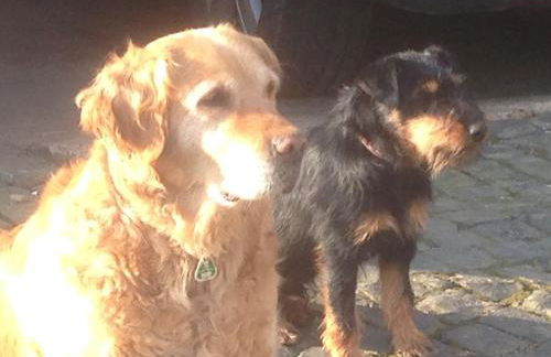 Ferienwohnung Jäger - Foto 25