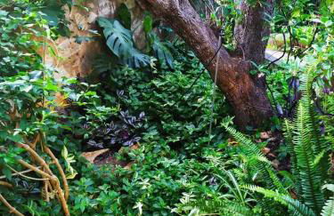 Olive Lemon Biophilic House & Lush Forest Garden - Foto 44