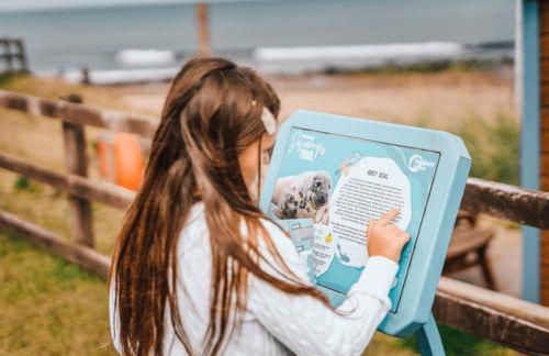 Pease Bay Essential Clover Caravan 1 - Foto 9