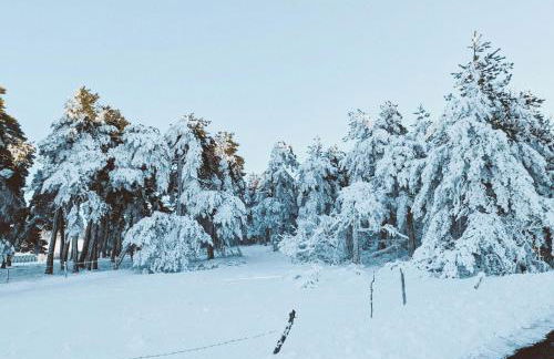 Grande ferme de 250m2 rénovée au charme rustique - Foto 49