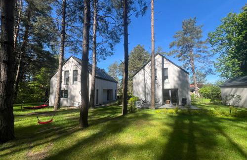 Masz Ci Las - Foto 6