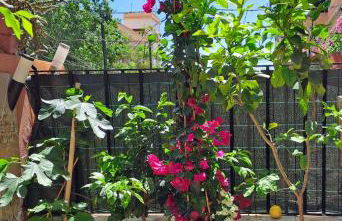 Lilibet Apartment - Foto 20