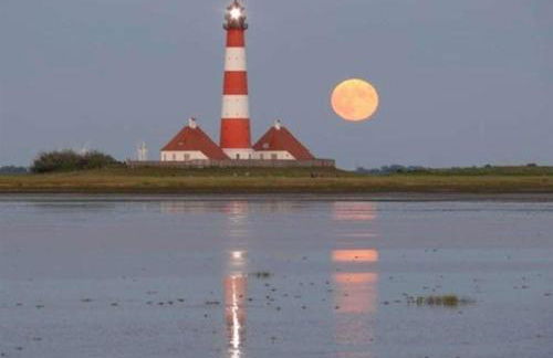 Ferienwohnung Nr. 25 - Foto 18