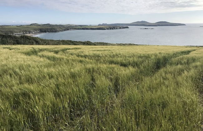 Upper Porthmawr - 5 Bedroom Cottage - Whitesands - Foto 20