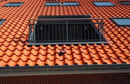 Pilsumer Sternekieker - Foto 11