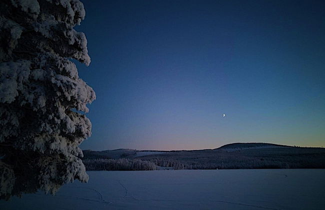 Vildmarks Lodge - Photo 45