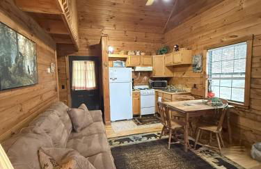 Cozy Bear Cabin-Stunning Mountain View, Dogs welcome with Pet Rate - Foto 6