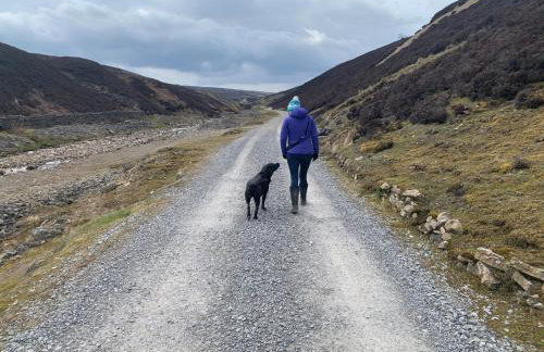 Galboly Cottage - Photo 37