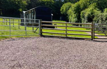 Hoarthorns Hideaway Forest of Dean - Foto 10