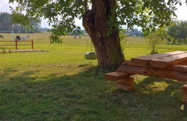 Agroturystyka Pod Orzechem - Foto 29