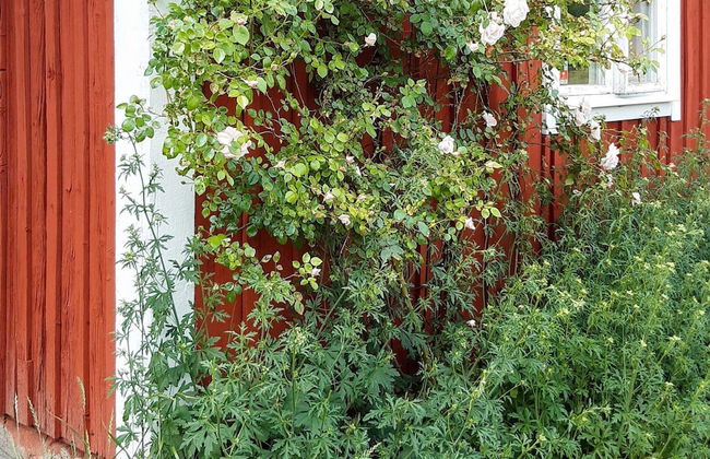 4 Star Holiday Home in Nykvarn - Photo 12