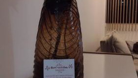 Olivia Flores great location - Foto 5