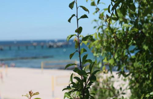 Cozy Bungalow in Stove Germany near Baltic Sea - Foto 77