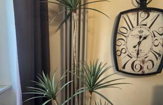 Antica Residenza del Corso Viterbo appartamento Vittorio Emanuele - centro storico - Foto 12