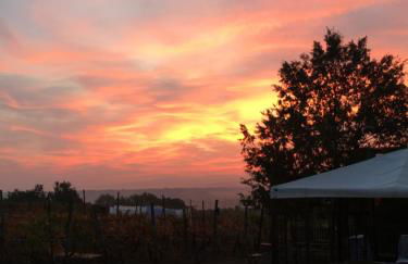 Cascina La Maddalena Bed & Wine - Foto 33