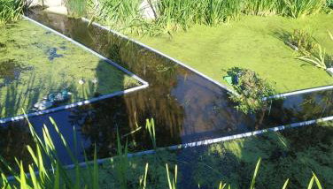 Altana całoroczna Vira numer 7 Herbergerówka Agroturystyka na wsi - Foto 3