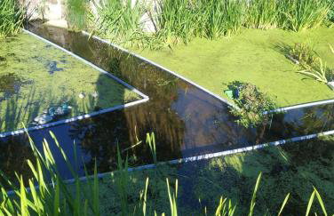 Altana całoroczna Vira numer 7 Herbergerówka Agroturystyka na wsi - Foto 3