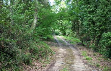 Il Bosco del Lebbio - Foto 27