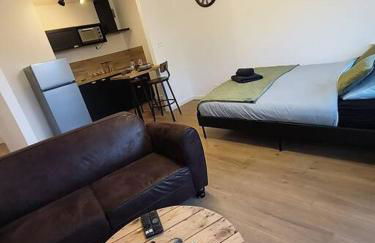 Charmant studio - Gare colmar - Foto 16