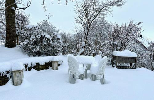 OhPardon! MICHELBACH - Garten & Balkon, Sauna, Netflix - Foto 38