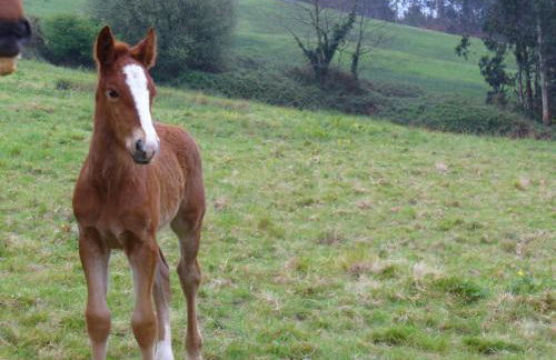 Casa Anhelo El Candíl - Foto 21