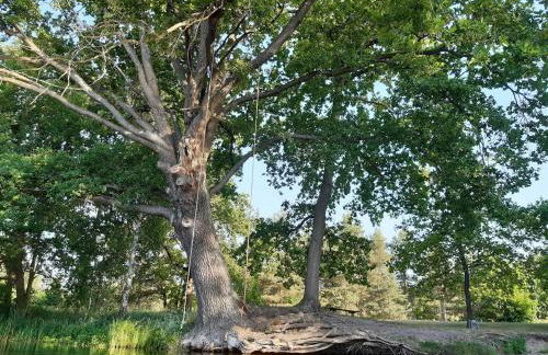 Ferienhäuser im Sternenpark - Foto 8
