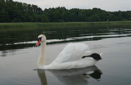 Haus am See - Foto 33