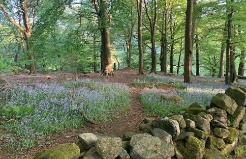 Galboly Cottage - Photo 26