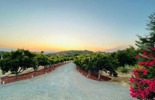 Panorama Paradiso by CasadeLuz, 5Acre 360 Retreat close to Old Town Temecula Wine Country - Foto 36