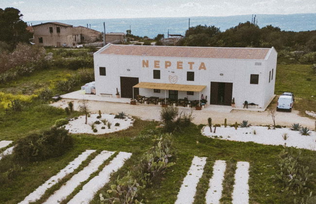 Visite de la distillerie Casa Nepeta - Photo 7