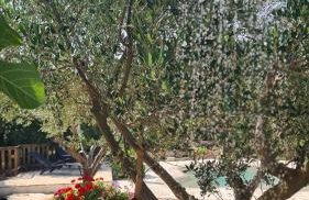 Lastavica House with Heated Pool - Foto 17