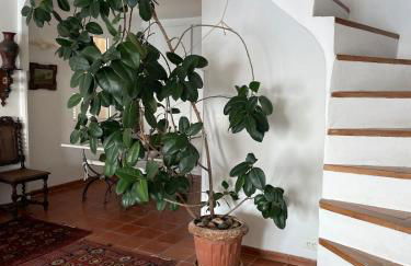 Penthouse Amazing View - Foto 32