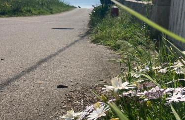Maison artistes bord de mer Rostellec - Photo 35