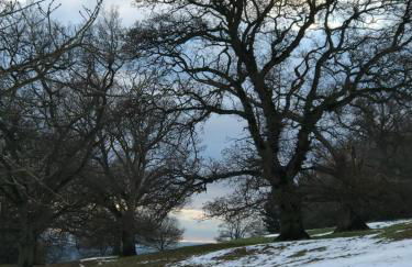 Cotswolds Retreat - Foto 68