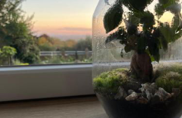 Le petit paradis - Foto 26