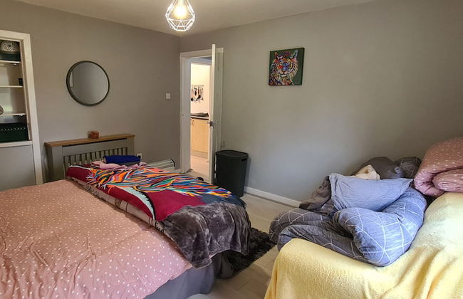 Modernised 1720s Cottage, Newton Stewart, Scotland - Photo 8