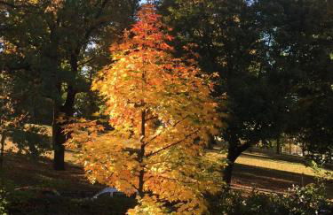 Apartment Centrum im Grünen - Foto 12