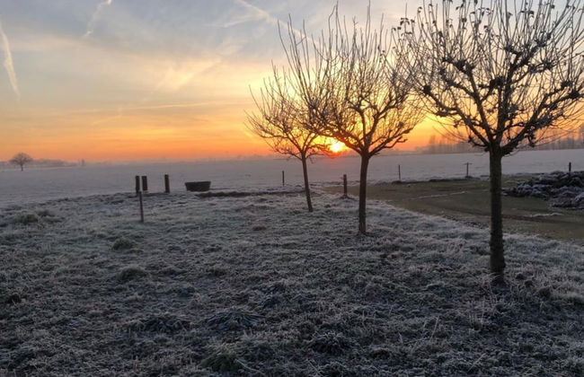 Tranquil Group Retreat in Nature - Foto 69