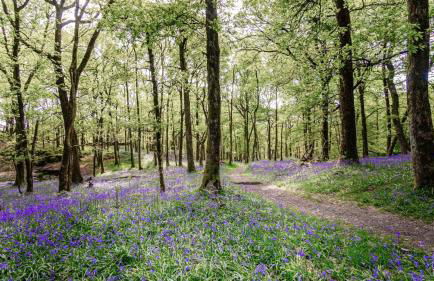 The Courtyard - Foto 28