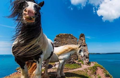 The Hut@Trefechan Wen - Coastal Coziness! - Photo 35