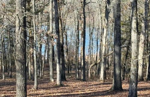 Lakeside Retreat on 10 Secluded Acres - Foto 57