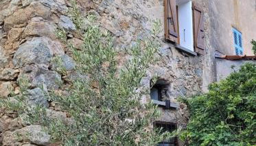 1722 Cosy Home Corbara - Photo 5