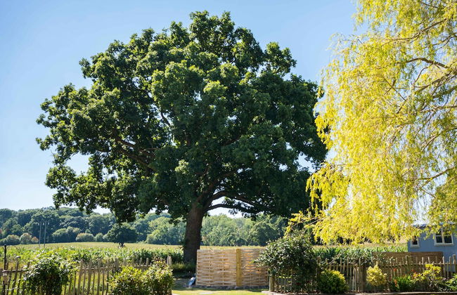 The Hideaway Hut - 1 Bed Shepherds Hut - Hereford - Foto 53