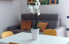 Orizzonte Marino Giallo Angolo solare verso la laguna - Foto 1